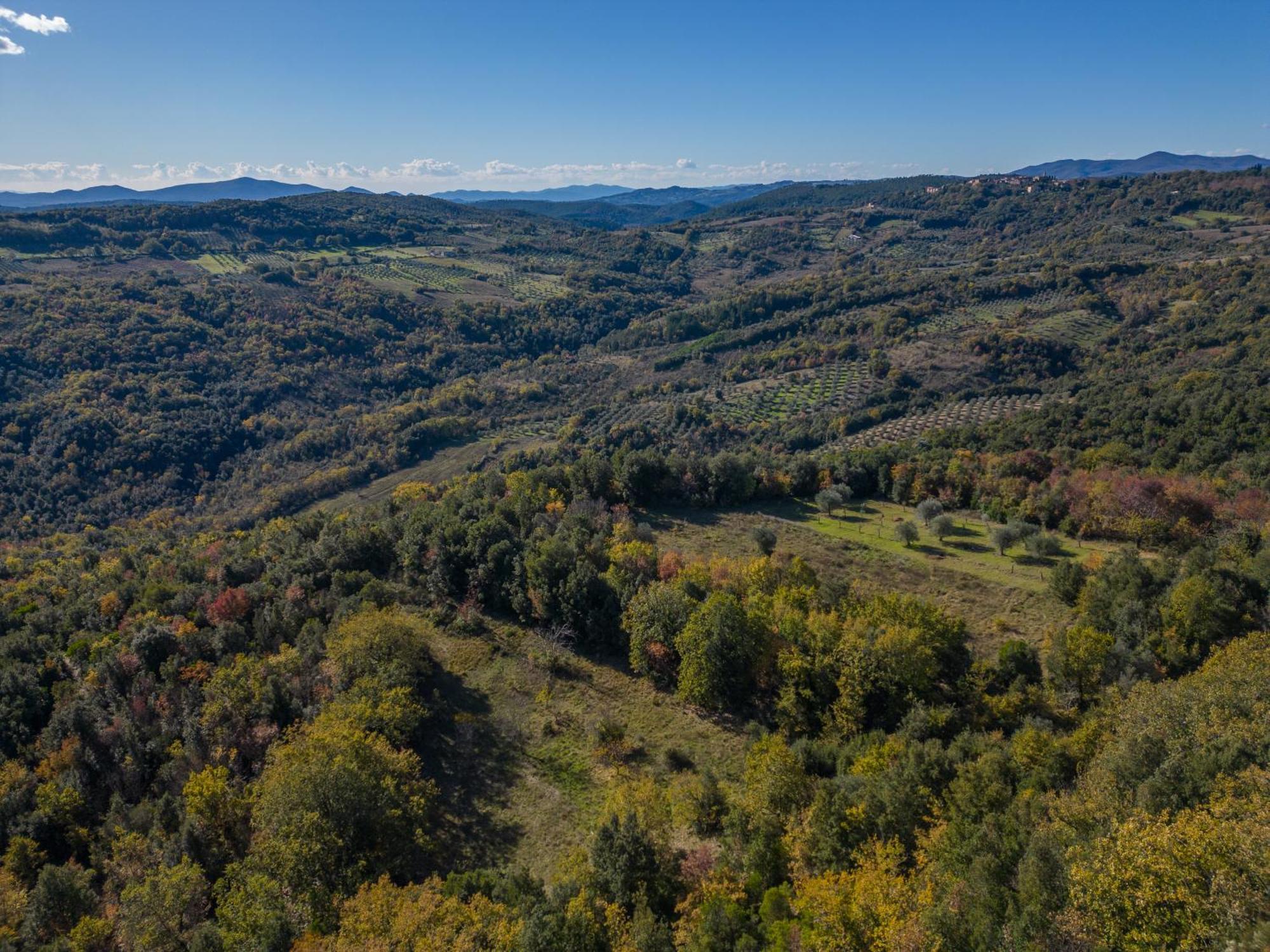 Вілла Agriturismo Antico Borgo Montacuto Pari Екстер'єр фото